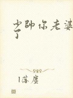 少帅你老婆又跑了