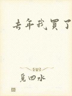 去年我买了个表