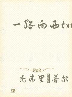 一路向西txt