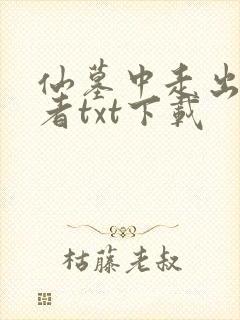 仙墓中走出的强者txt下载