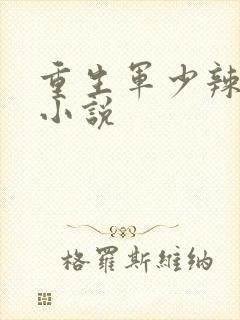 重生军少辣娇妻小说