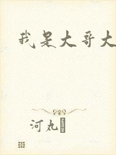 我是大哥大下载