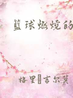 篮球燃烧的岁月