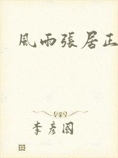 风雨张居正下载