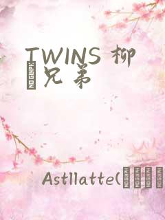 TWINS 柳澤兄弟