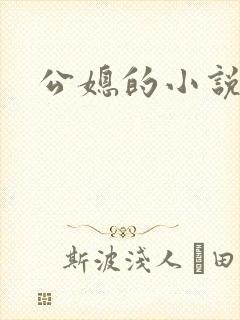 公媳的小说
