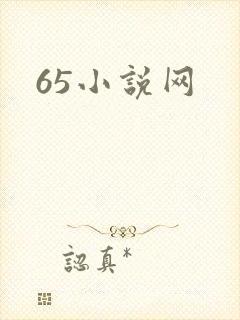 65小说网