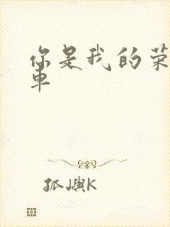 你是我的荣耀肉车