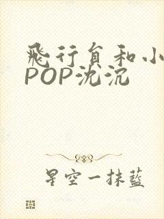 飞行员和小空乘POP沈沉