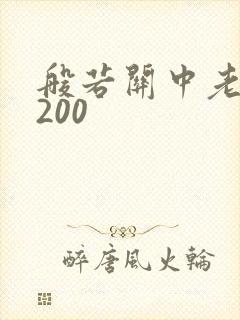 般若关中老人5200