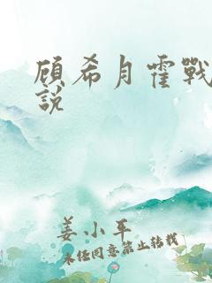 顾希月霍战霆小说