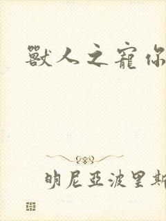 兽人之宠你为上