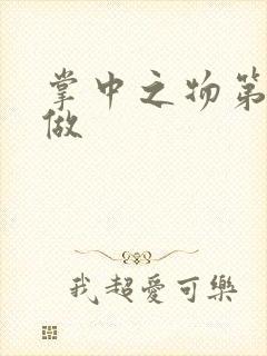 掌中之物第一次做