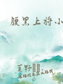 腹黑上将小小妻