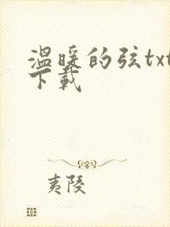 温暖的弦txt下载