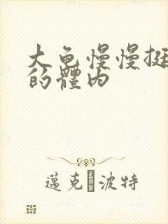 大龟慢慢挺进我的体内