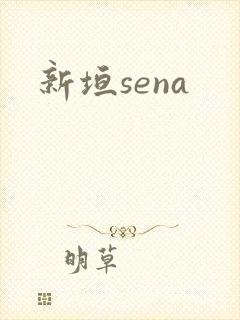 新垣sena