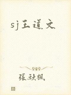 sj王道文