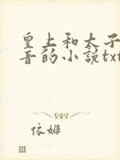 皇上和太子妃沈音的小说txt