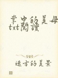 掌中的美母版主txt阅读