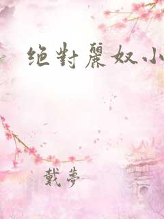 绝对丽奴小说