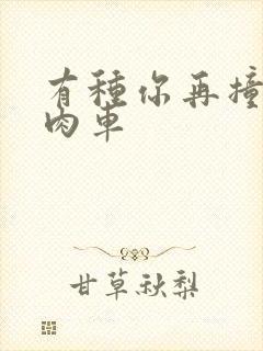 有种你再撞一下肉车