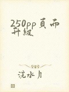 250pp页面升级