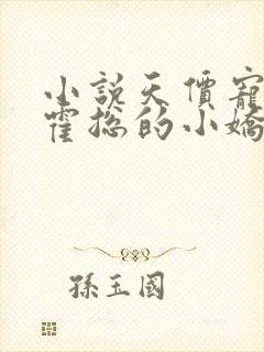 小说天价宠妻:霍总的小娇妻