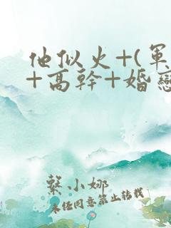 他似火+(军婚+高干+婚恋)