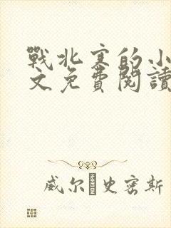 战北寒的小说全文免费阅读无弹窗