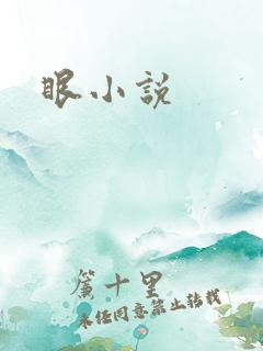 眼小说