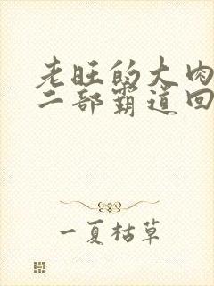 老旺的大肉蟒第二部霸道回归小说