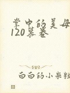 掌中的美母版主120慕卷