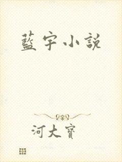 蓝宇小说