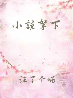 小说拿下