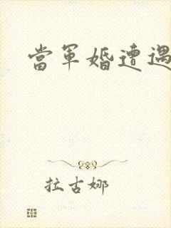 当军婚遭遇爱情