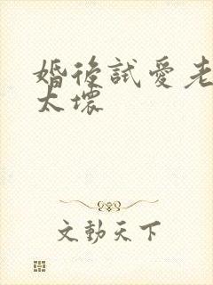 婚后试爱老公别太坏