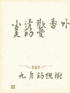 小清欢番外篇完美的爱