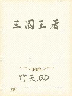 三国王者