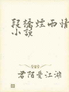 段桥烟雨情难离小说