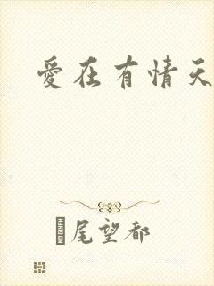 爱在有情天小说