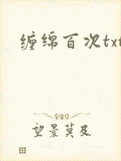 缠绵百次txt