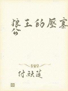 狼王的压寨小相公