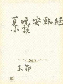 夏晚安韩经年的小说