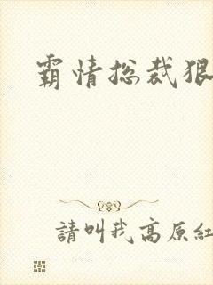 霸情总裁狠狠爱