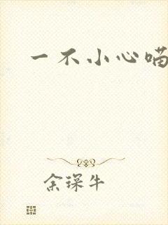 一不小心喵上你