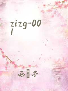 zizg-001