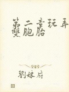 第二章玩弄少妇双胞胎