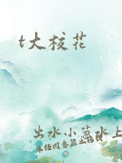 t大校花