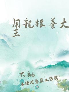 用龙根养大的公主